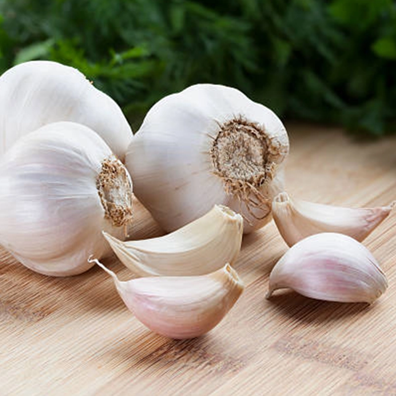 garlic